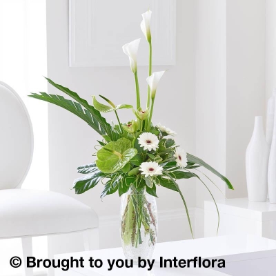 Graceful Calla Lily & Anthurium Vase